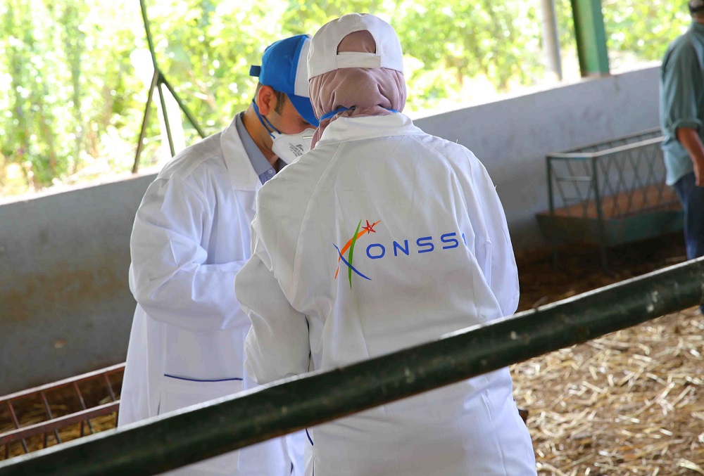  أونسا تمنع إدخال النباتات إلى المغرب من طرف المسافرين بسبب بكتيريا 