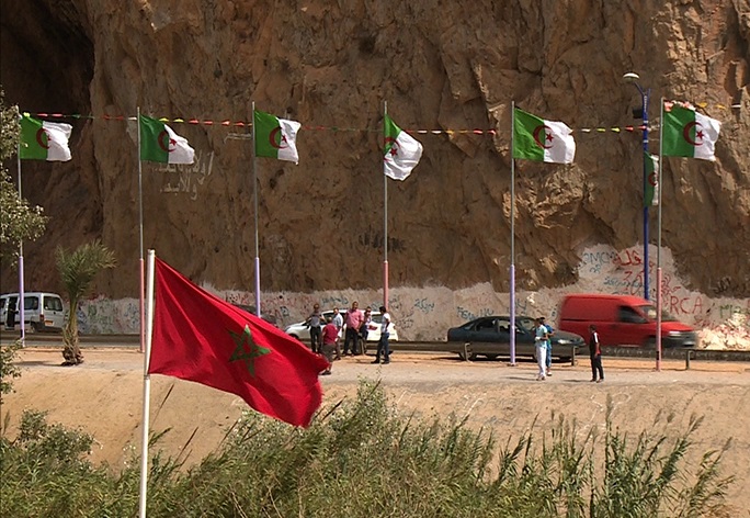 إنهم يهربون الطيور نحو الجزائر