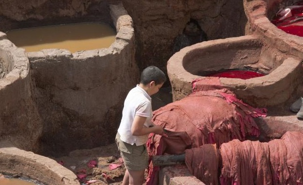   مندوبية التخطيط: تشغيل الأطفال منعدم في أسر الأطر العليا 