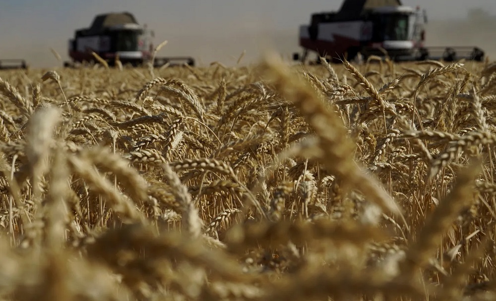 موانئ تصدير الحبوب بأوكرانيا تستأنف العمل