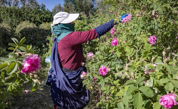 مؤتمر بالرباط يبحث تمكين المرأة القروية اقتصاديا