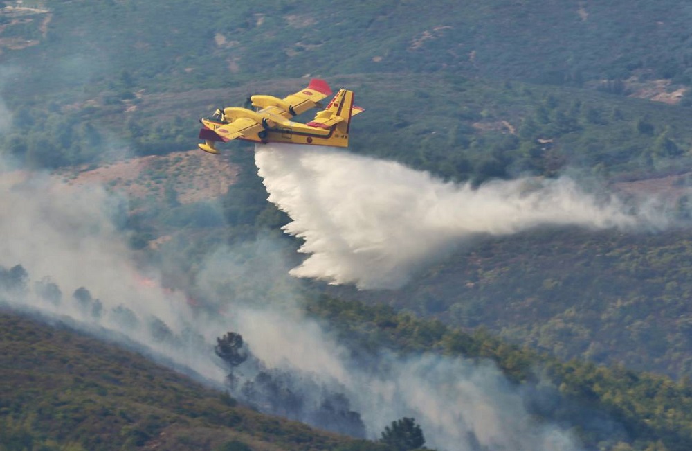 حرائق هائلة تجتاح مناطق بجهة طنجة.. وتواصل الجهود للسيطرة عليها