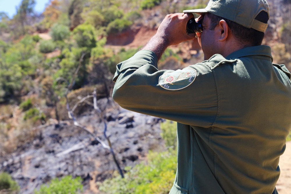 حرائق الغابات في المغرب.. ماذا تعرف الحكومة عن "الأعشاش الحرارية"؟