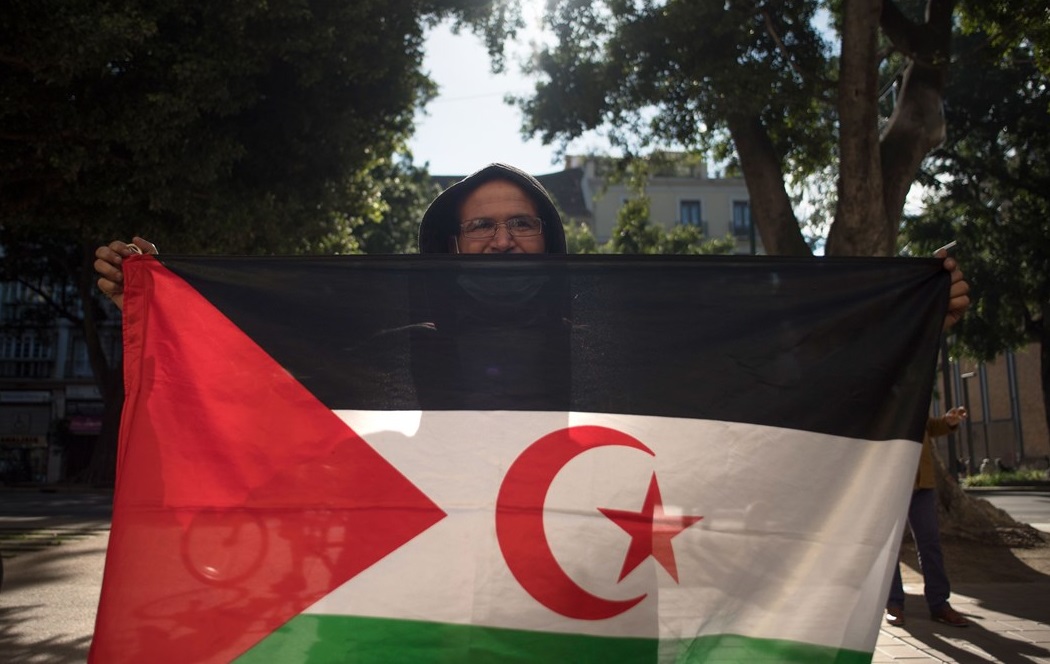  البوليساريو في تونس من جديد.. محاولة لخلط أوراق مخيم العدالة المناخية 