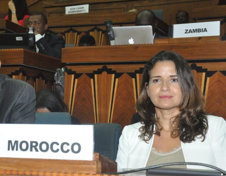 ليلى بنعلي: تدوير النفايات بإفريقيا سيضخ 8 مليارات دولار إضافية للقارة