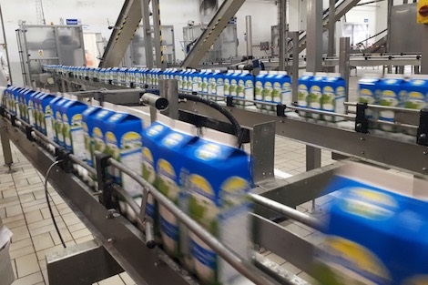 سلسلة إنتاج الحليب بالمغرب توفر 49 مليون يوم عمل في السنة