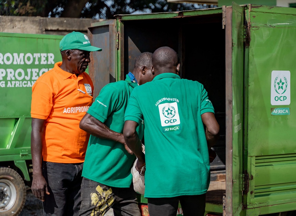 مكتب الفوسفاط يطمئن المزارعين الأفارقة: سنوفر 4 ملايين طن من الأسمدة