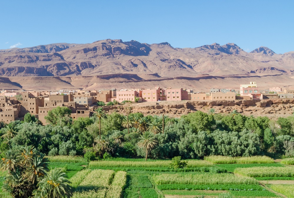 تعبئة أكثر من 100 مليار سنتيم لتنزيل مخطط "الجيل الأخضر" بتنغير