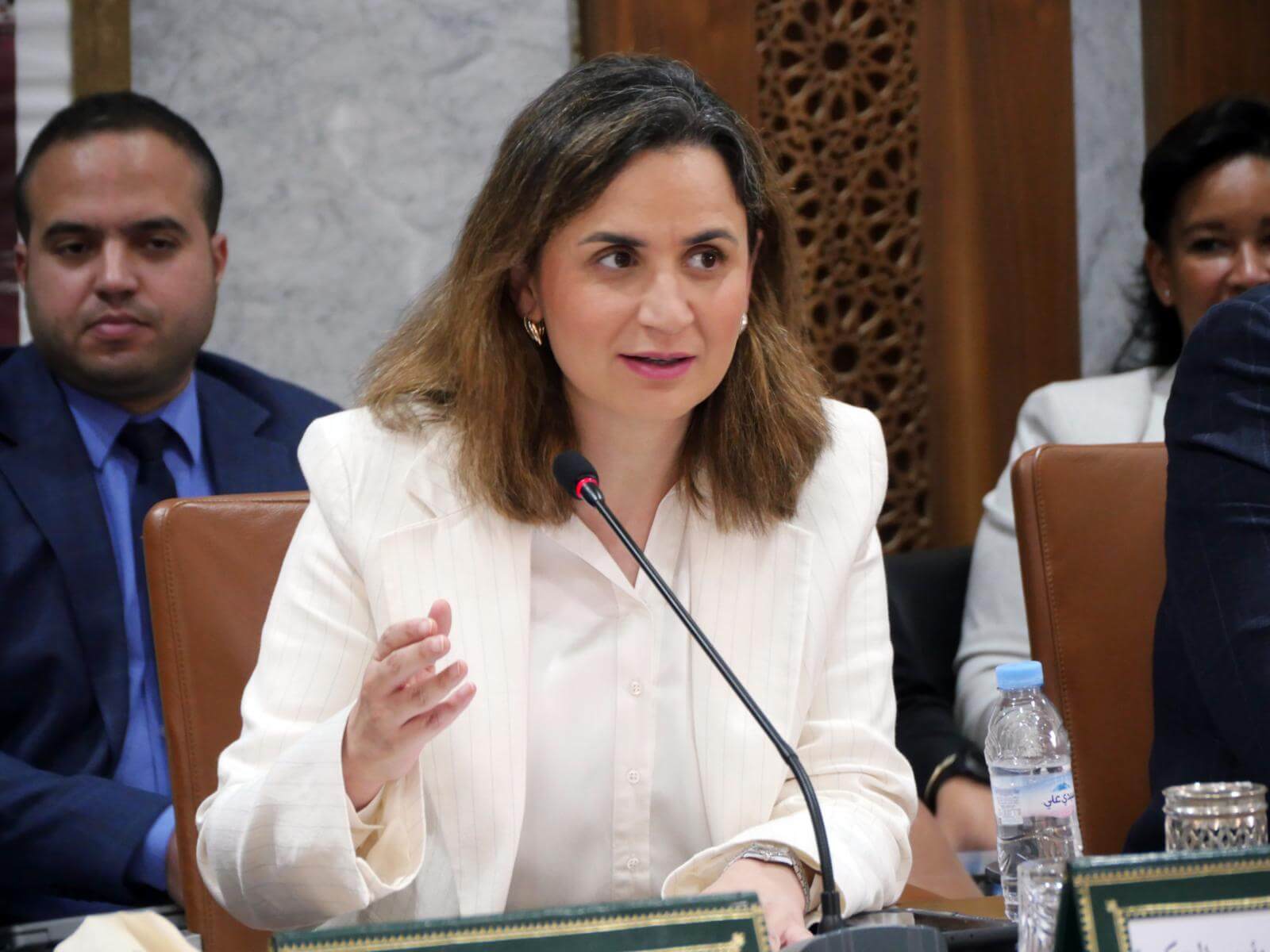 غيثة مزور: سيتم تقليص 45% من الوثائق المطلوبة في ملفات الاستثمار