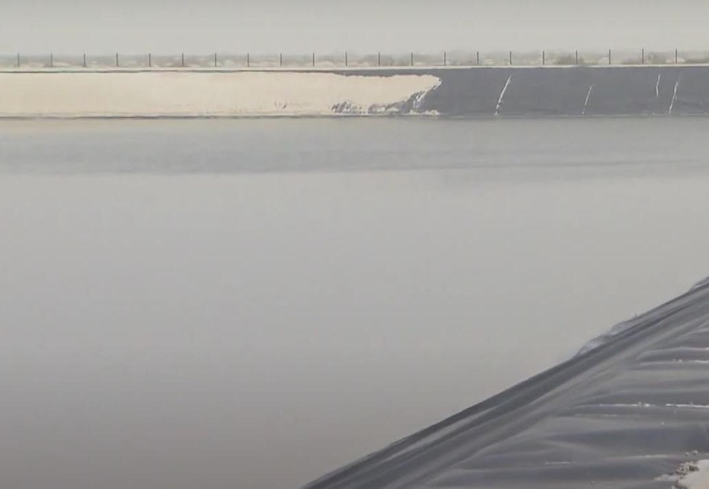 مشروع ضخم لإنتاج الخضروات والحليب ضواحي بوجدور يوفر 1000 منصب شغل