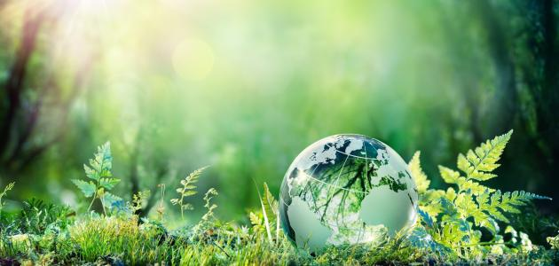  اتفاق تاريخي لإنهاء تدهور التنوع الحيوي في العالم 