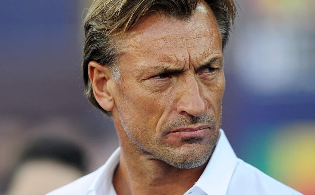  رونار: آسف فرنسا.. سأشجع المغرب 