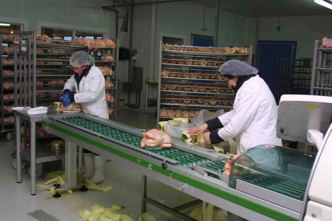  بنك المشاريع.. "الصناعات الغذائية" ستوفر أكثر من 34 ألف منصب شغل مباشر 