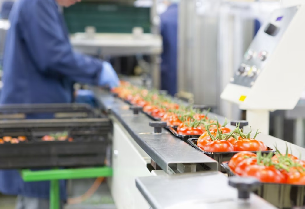 المغرب أول مصدر للخضروات والفواكه نحو إسبانيا