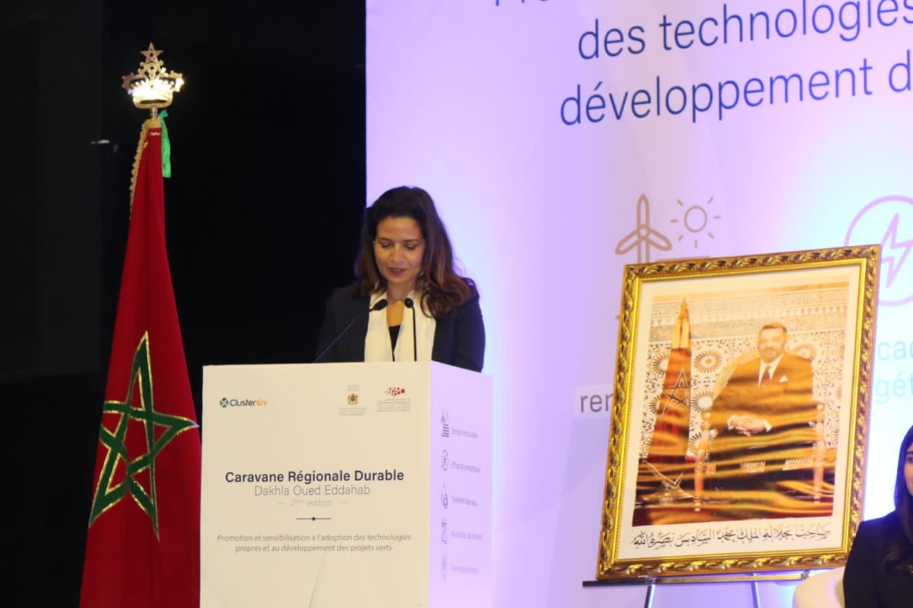 بنعلي: اعتمدنا إصلاحات تشريعية وتنظيمية لتشجيع الاستثمار في الطاقات النظيفة