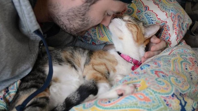 دراسة: تربية الحيوانات الأليفة قد يؤدي إلى الأرق