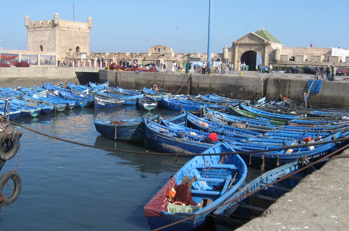  صندوق الضمان الاجتماعي يحدث منصة خاصة بقطاع الصيد البحري 