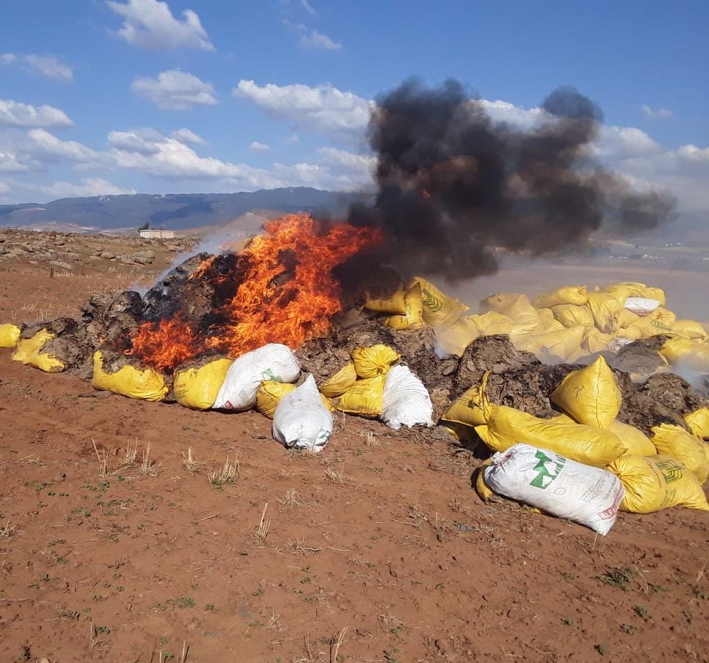   ضبط كميات كبيرة من مخلفات الدجاج  كانت تستعمل في تغذية أغنام عيد الأضحى  