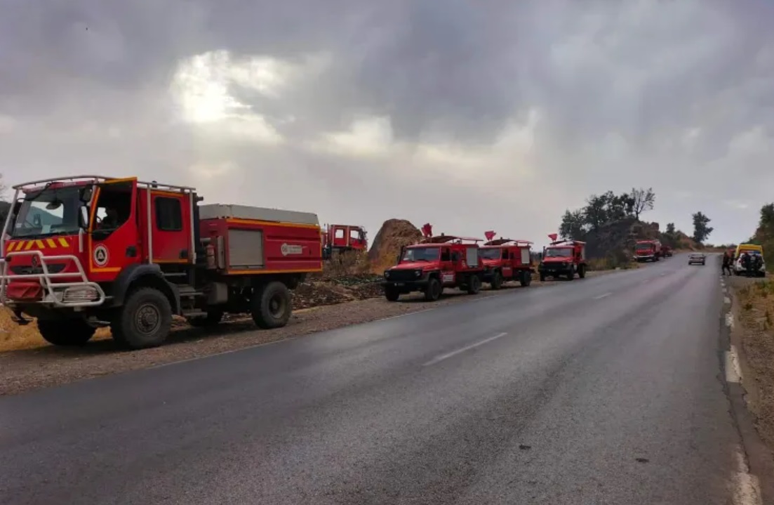   الحرائق تجتاح من جديد منطقة القبايل في الجزائر 