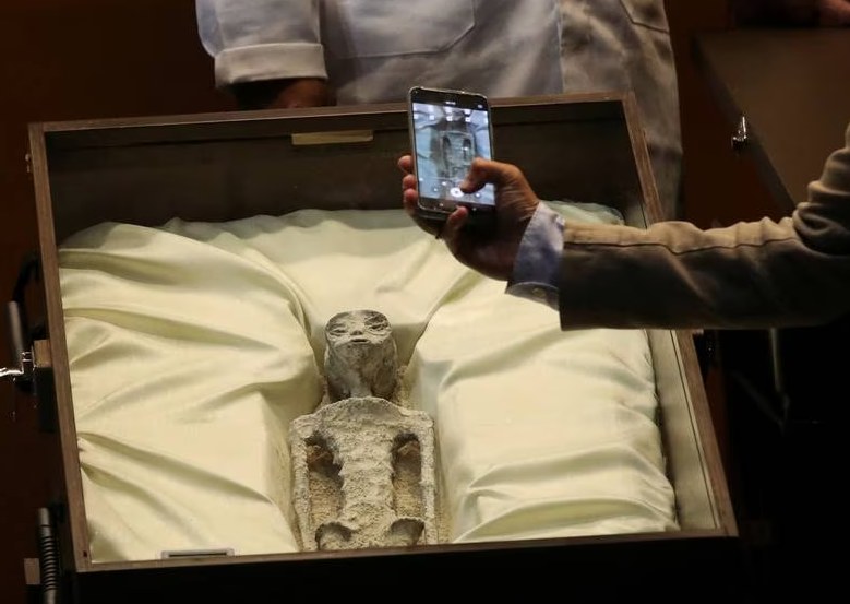 سر كائنات المكسيك الغريبة!