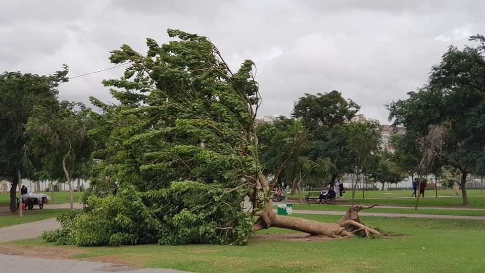 نشرة إنذارية تحذر من رياح قوية بعدد من أقاليم المملكة