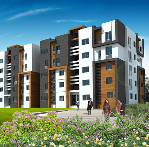 النتيجة الصافية لمجموعة الضحى تتجاوز 9 مليار سنتيم