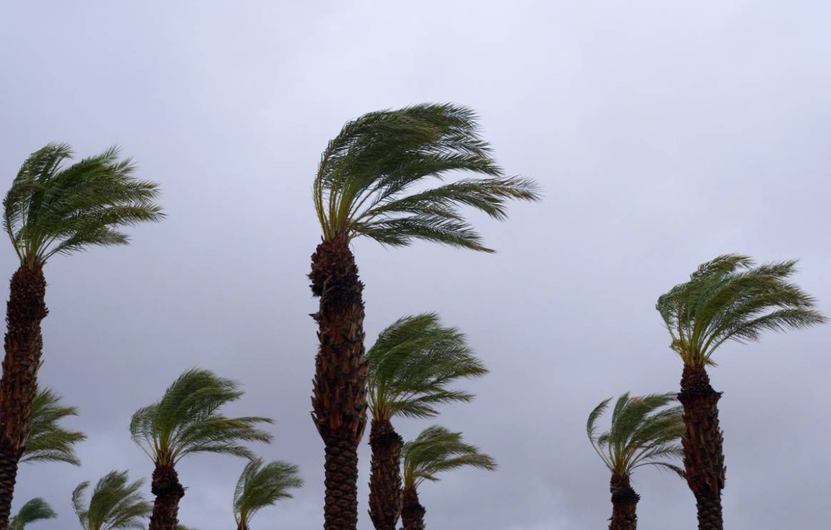  رياح قوية مع تطاير الغبار وتساقطات ثلجية مرتقبة  بعدد من أقاليم المملكة (نشرة إنذارية) 