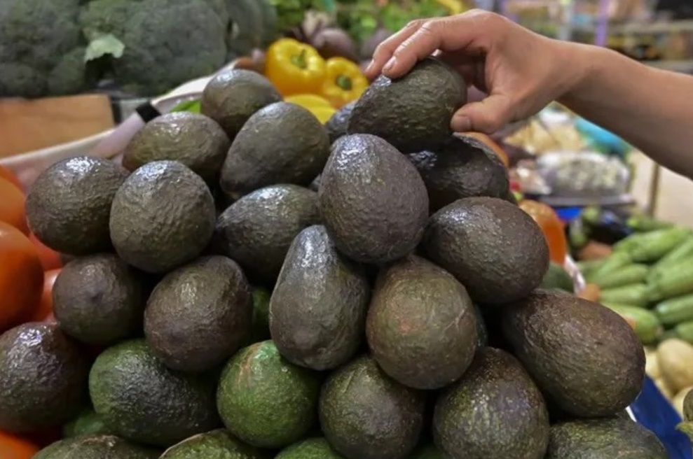  "الكسكس بالأفوكا".. مغربي يفاجئ ضيوفه باختراع جديد 