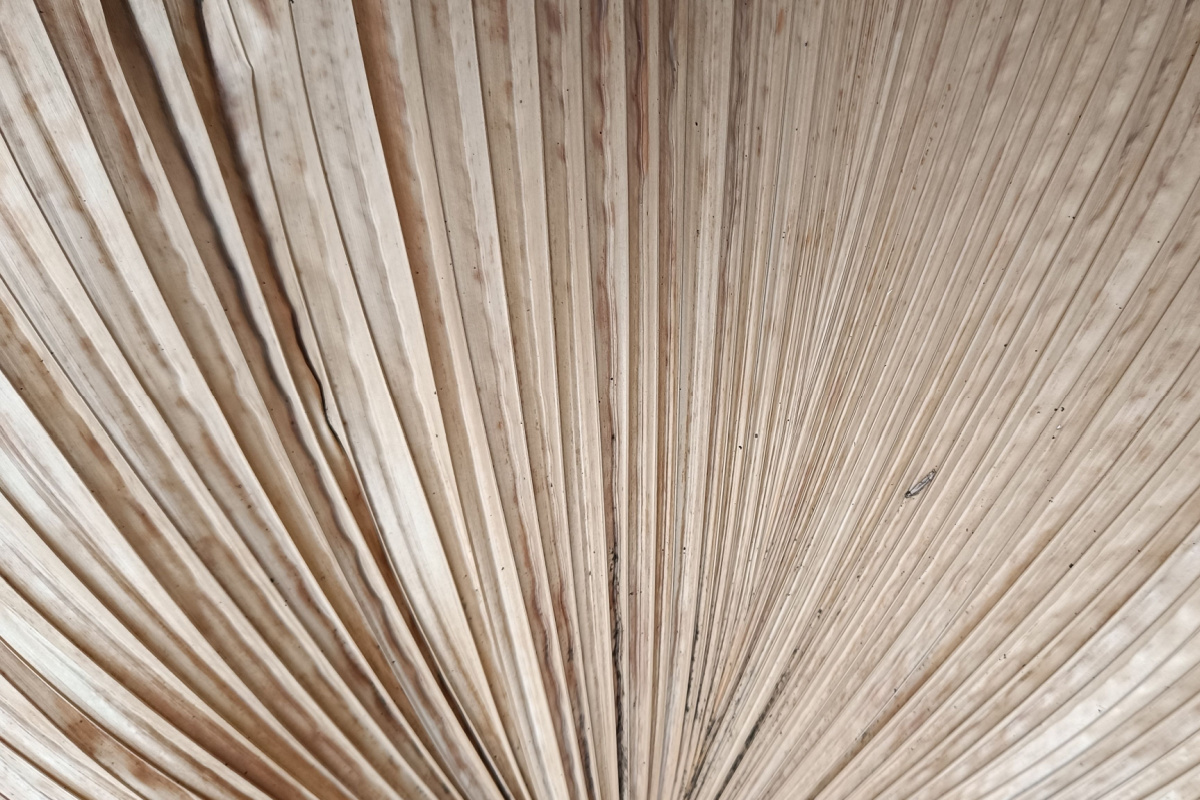  باحثون مغاربة يحدثون ثورة في عالم البناء 