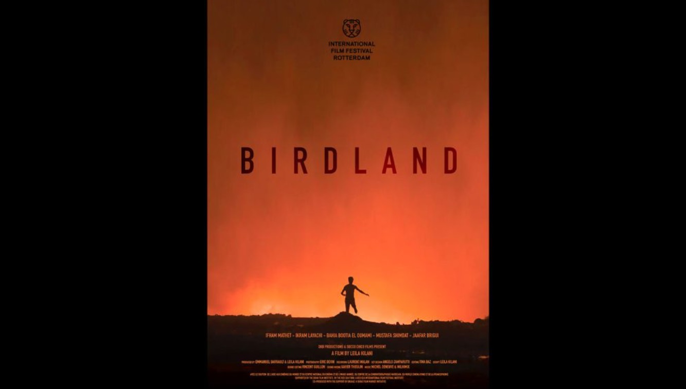 "أرض الطيور" يمثل المغرب في مهرجان الجونة