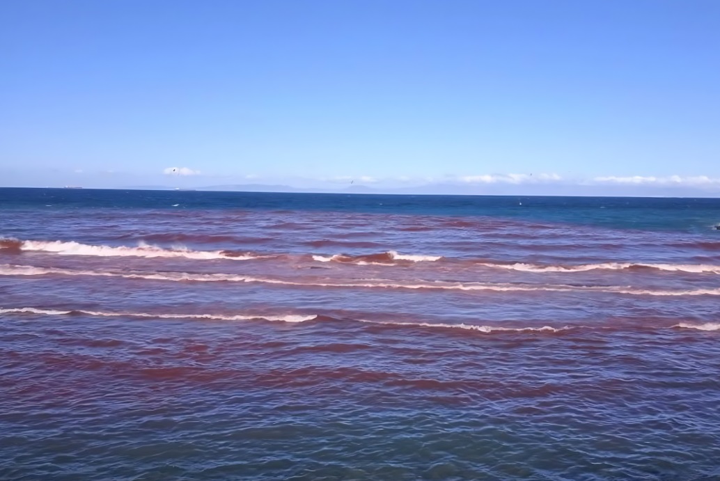  تحول مياه شاطئ بطنجة إلى اللون الأحمر يثير مخاوف بيئية 