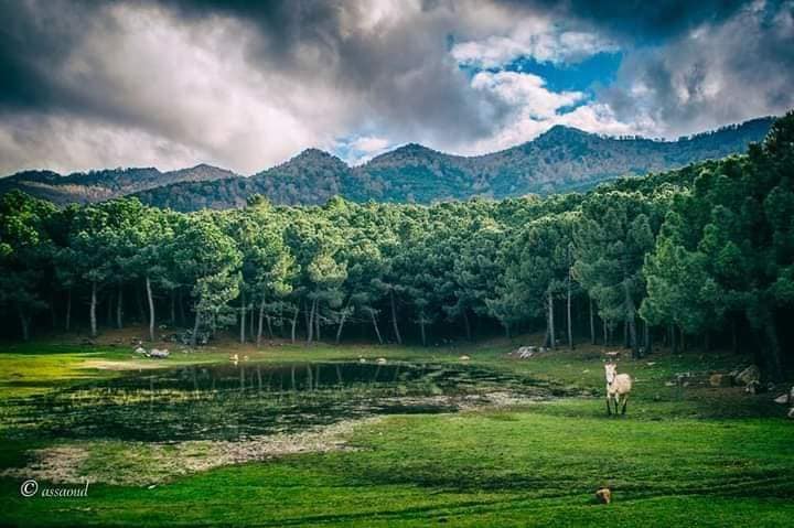 رصد 186 مليون درهم لتأهيل منتزه بوهاشم