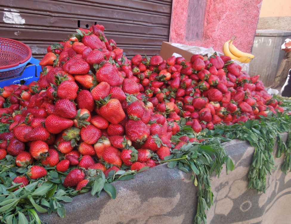 أونسا تكشف نتائج التحقيقات بخصوص "جدل الفراولة"