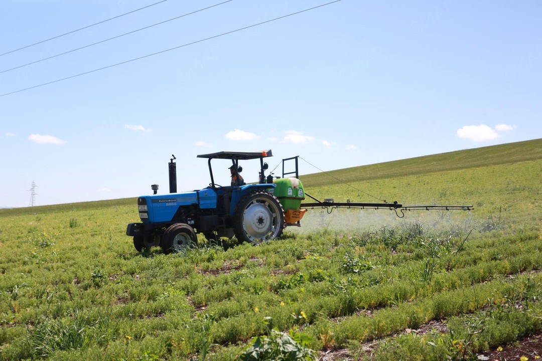 الـOCP يطلق فرعاً جديداً لحلول النباتات المشخصة