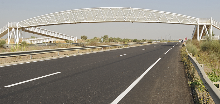 بمناسبة العطلة.. "الطرق السيارة" تدعو إلى توخي الحذر