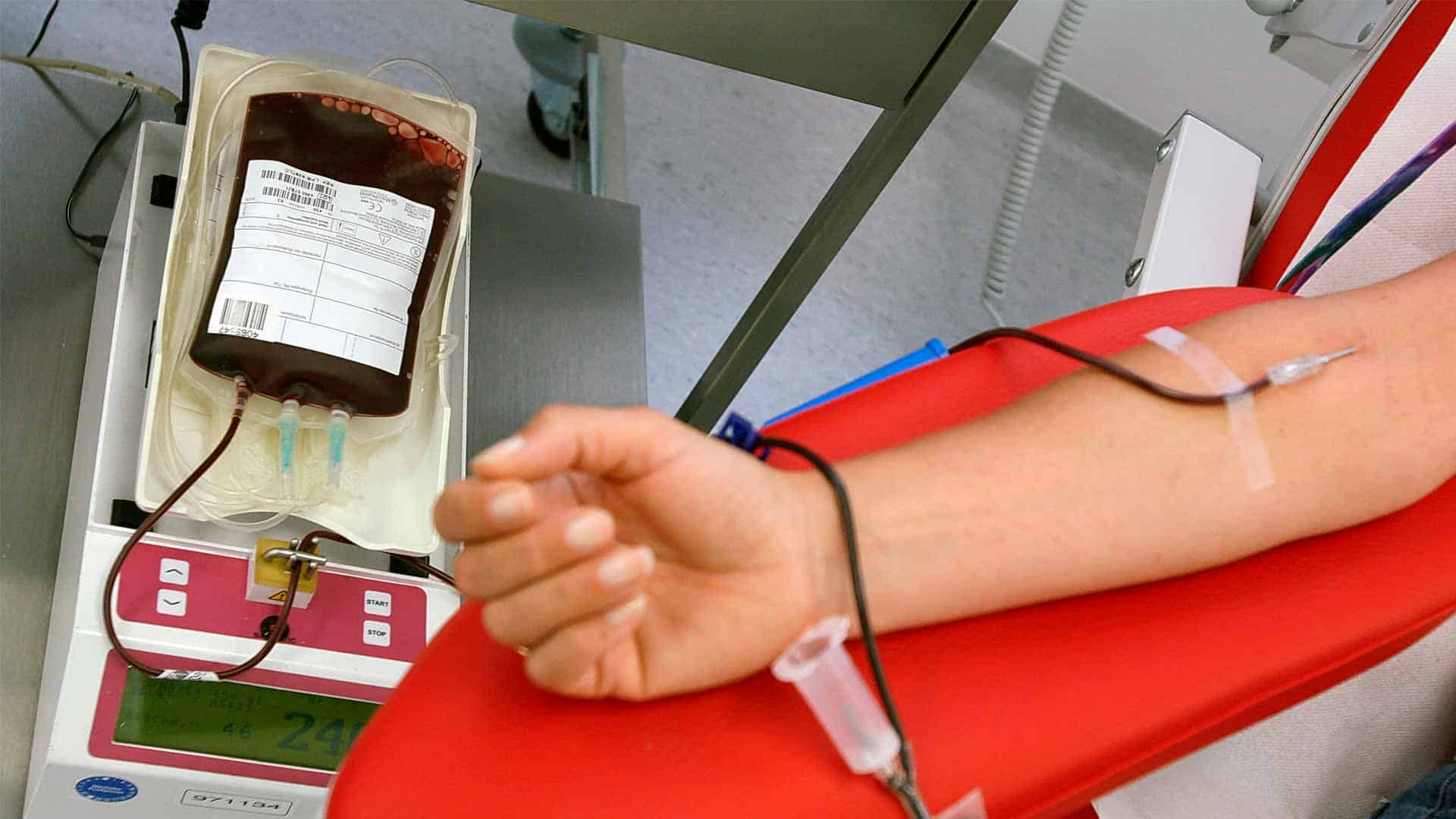 دماء المغاربة بين أيديها.. ماذا تعرف عن الوكالة المغربية الدم ومشتقاته؟