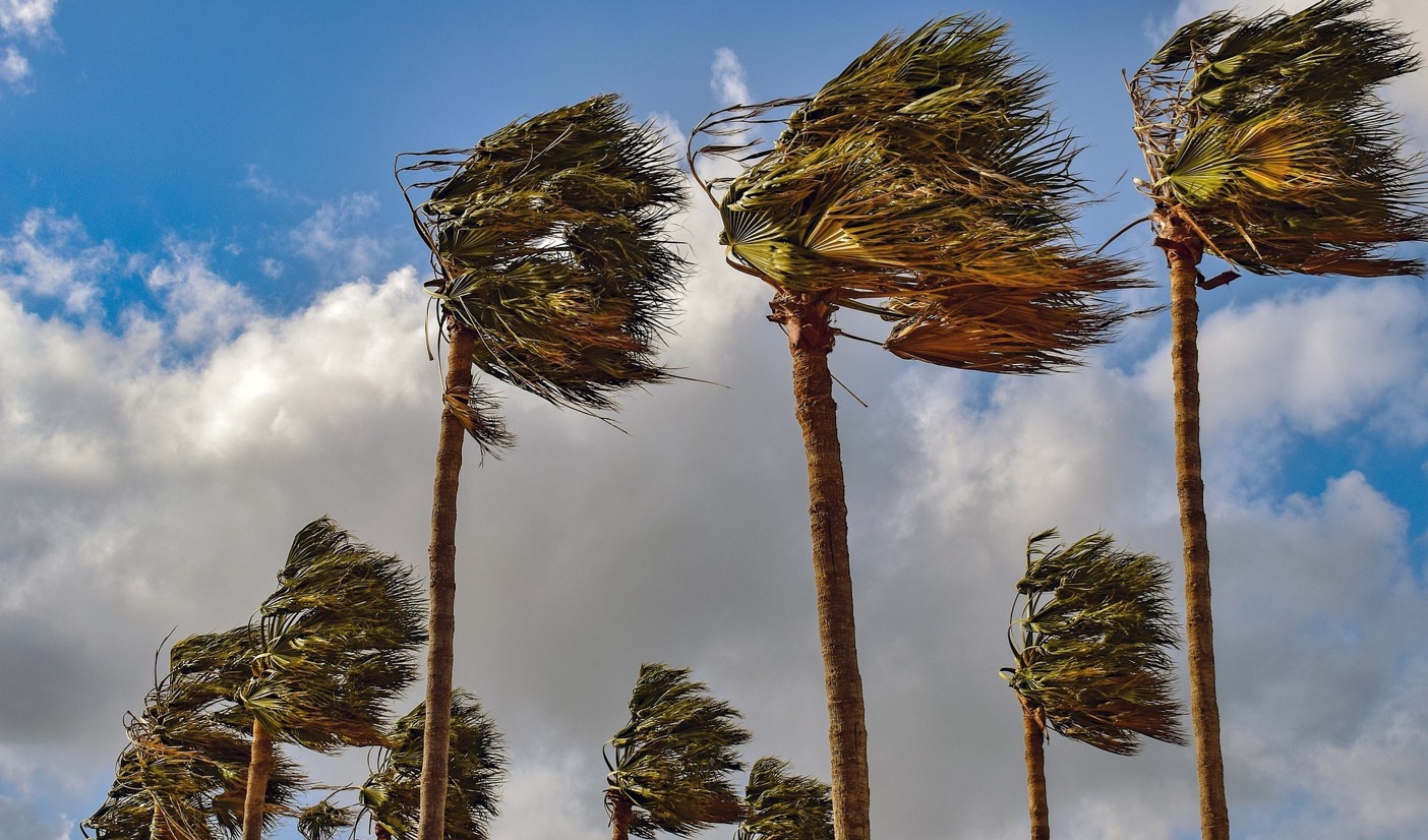  تعليق الدراسة بطنجة وأصيلة يوم الإثنين 10 مارس 2025 