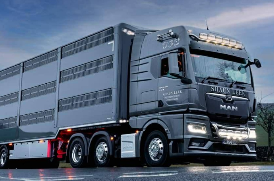 شركة ألمانية تتجه إلى المغرب لسد النقص الحاد في سائقي الشاحنات