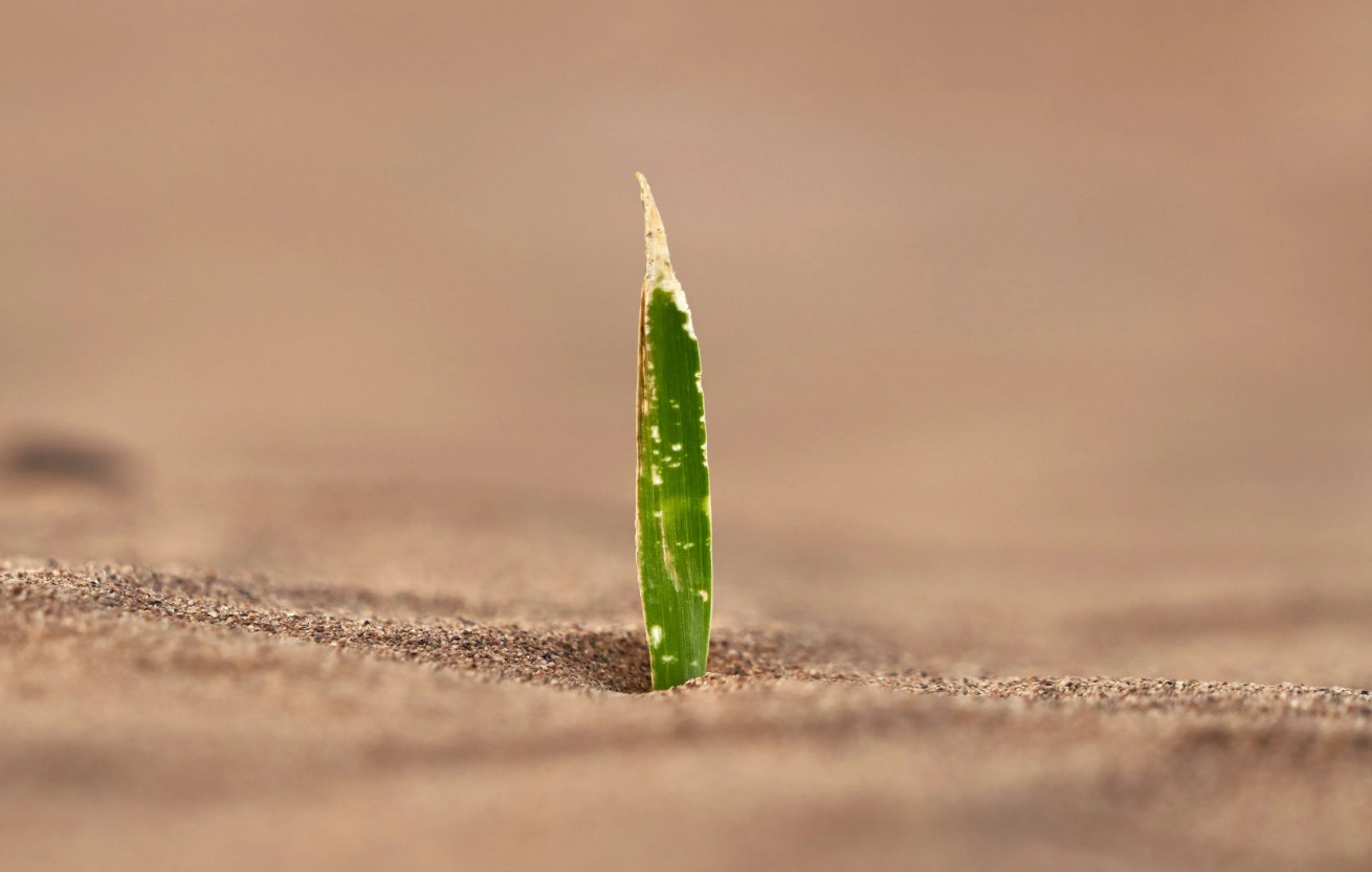 خطوات قليلة يومياً قد تنقذك من أمراض خطيرة