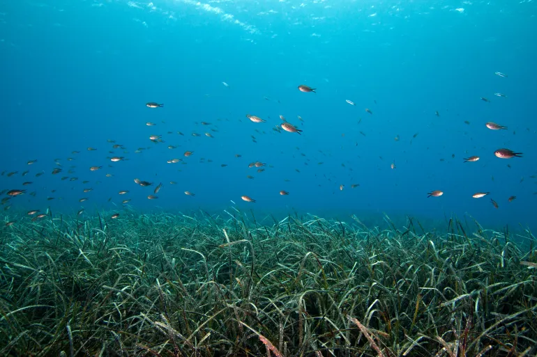 دراسة علمية: أكبر فيضان في تاريخ الكوكب حدث قبالة الشواطئ المغربية