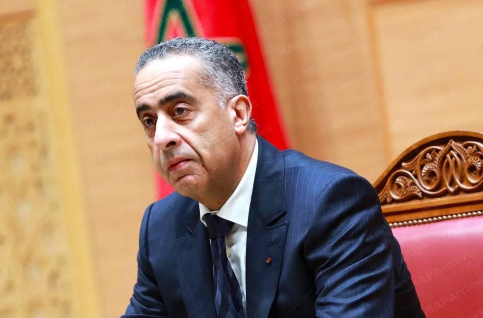 حموشي يؤكد التزام الأمن الوطني بحماية الثروة الغابوية ومكافحة الجرائم البيئية