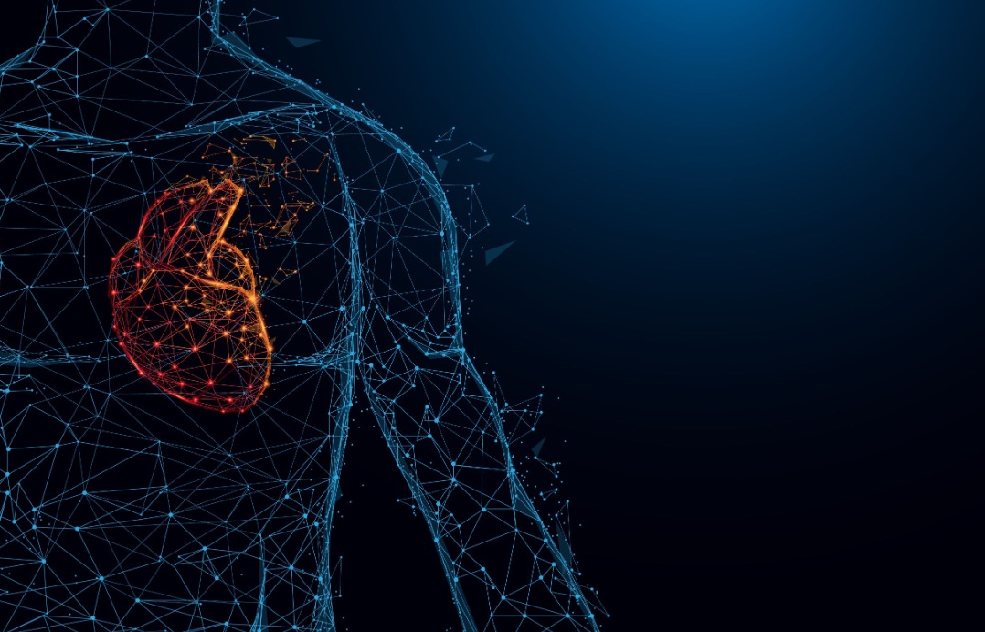  ذكاء اصطناعي جديد يكشف أمراض القلب بدقة تفوق الأطباء 
