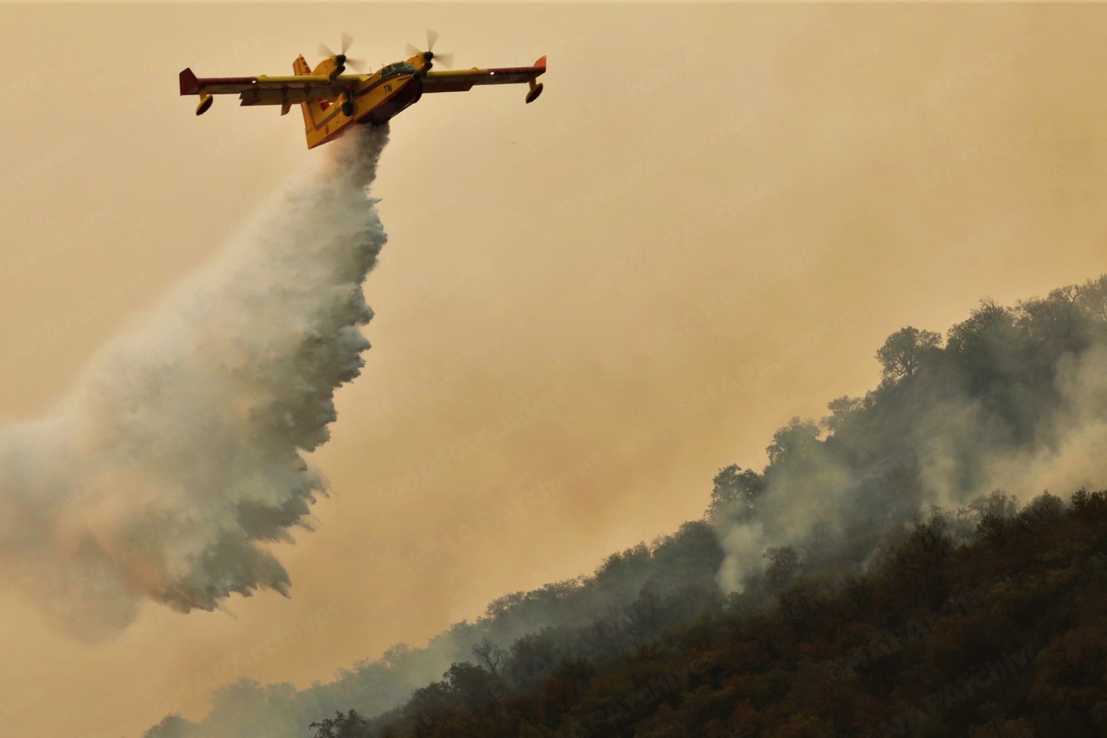 شفشاون تقاوم ألسنة اللهب: جهود جبارة للسيطرة على الحريق