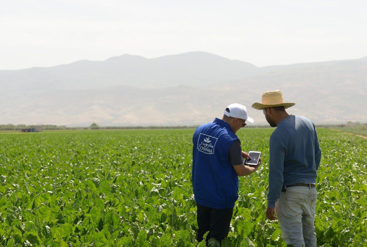 مجموعة كوسومار تطلق الموسم الفلاحي 2025/2026 وتستعرض نتائج قياسية رغم الجفاف