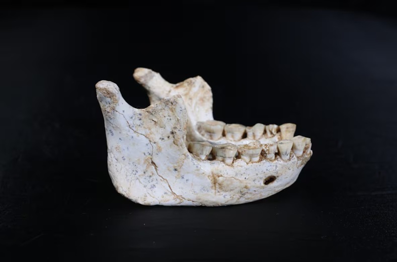 العثور في المغرب على بقايا سلف الإنسان العاقل، الذي عاش قبل 770 ألف سنة