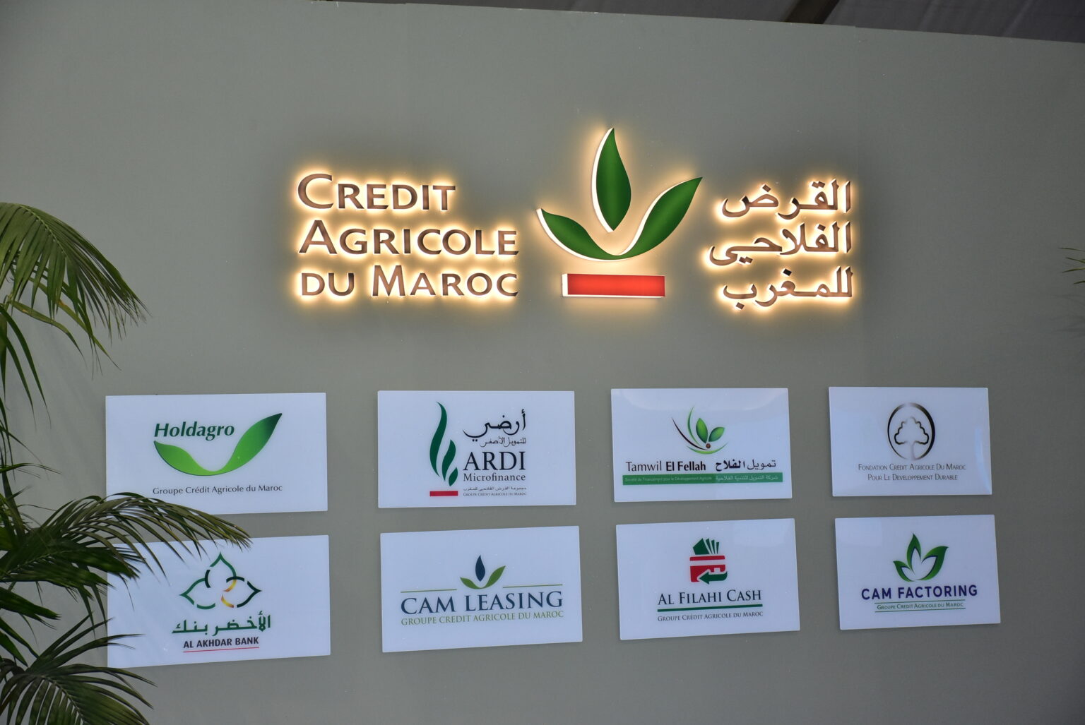  مجموعة القرض الفلاحي للمغرب ترفع ناتجها البنكي الصافي إلى 5,2 مليارات درهم في 2025 