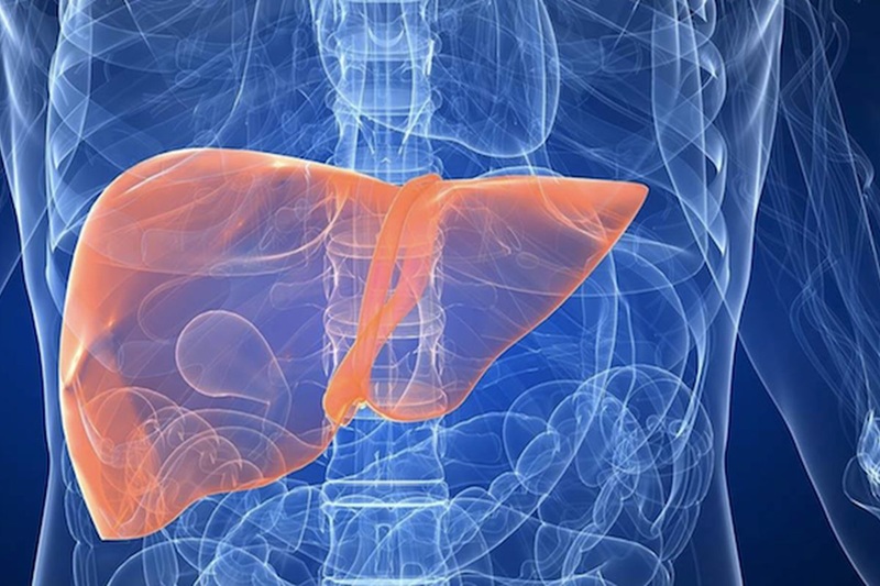  علماء يقتربون من فك أحد أخطر أسرار سرطان الكبد 
